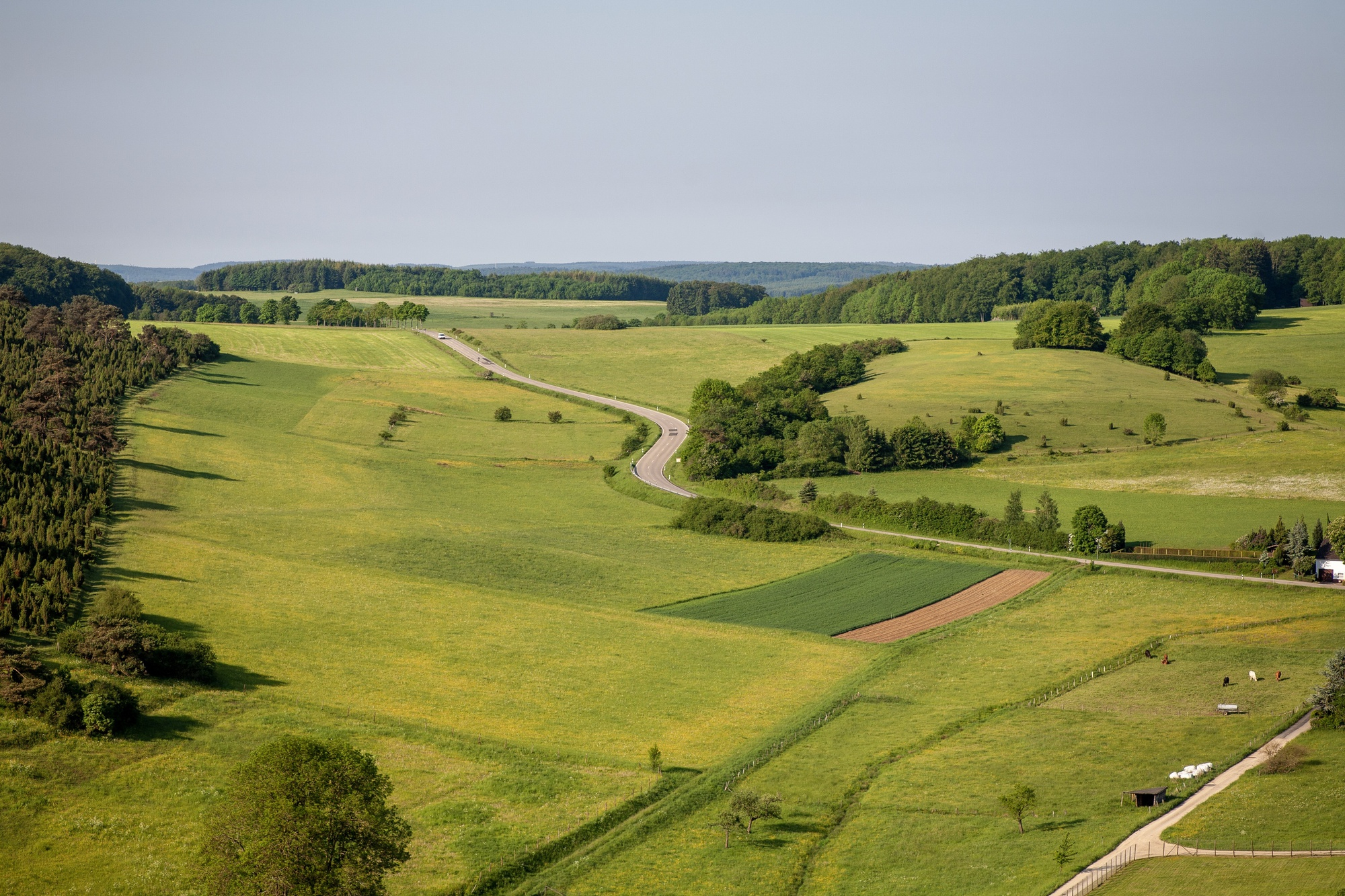 Dzialki budowlane Poznan